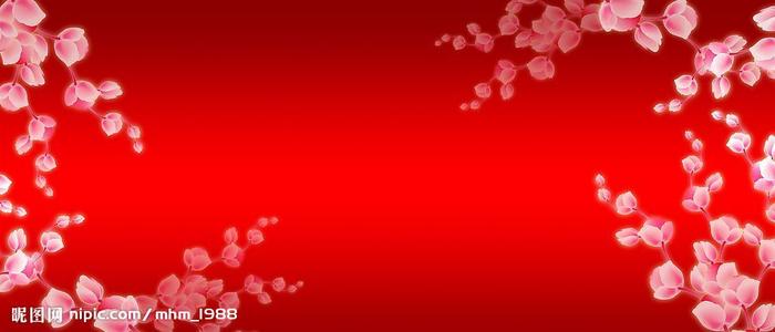 个人税完税证明能办吗